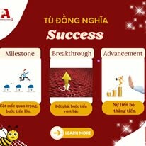 LPA Mastery Việt Nam 8