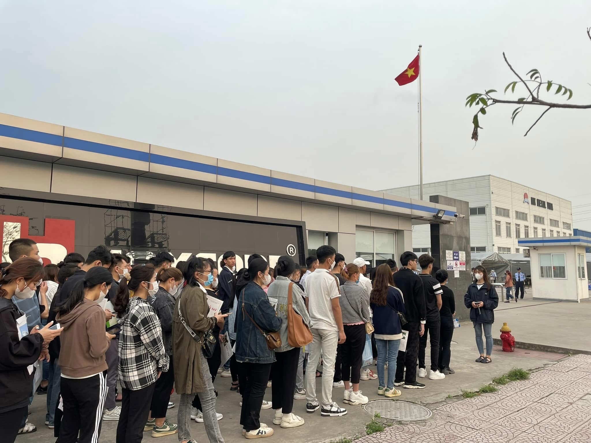 New Wing Interconnect Technology 3