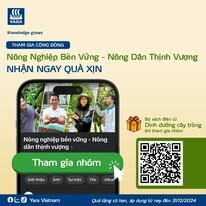 Yara Vietnam Ltd. 12