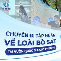Bệnh Viện Thú Y Pet-Pro 9