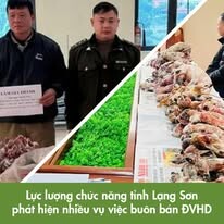 Wildlife Conservation Society 14