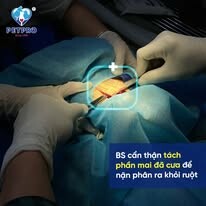 Bệnh Viện Thú Y Pet-Pro 14
