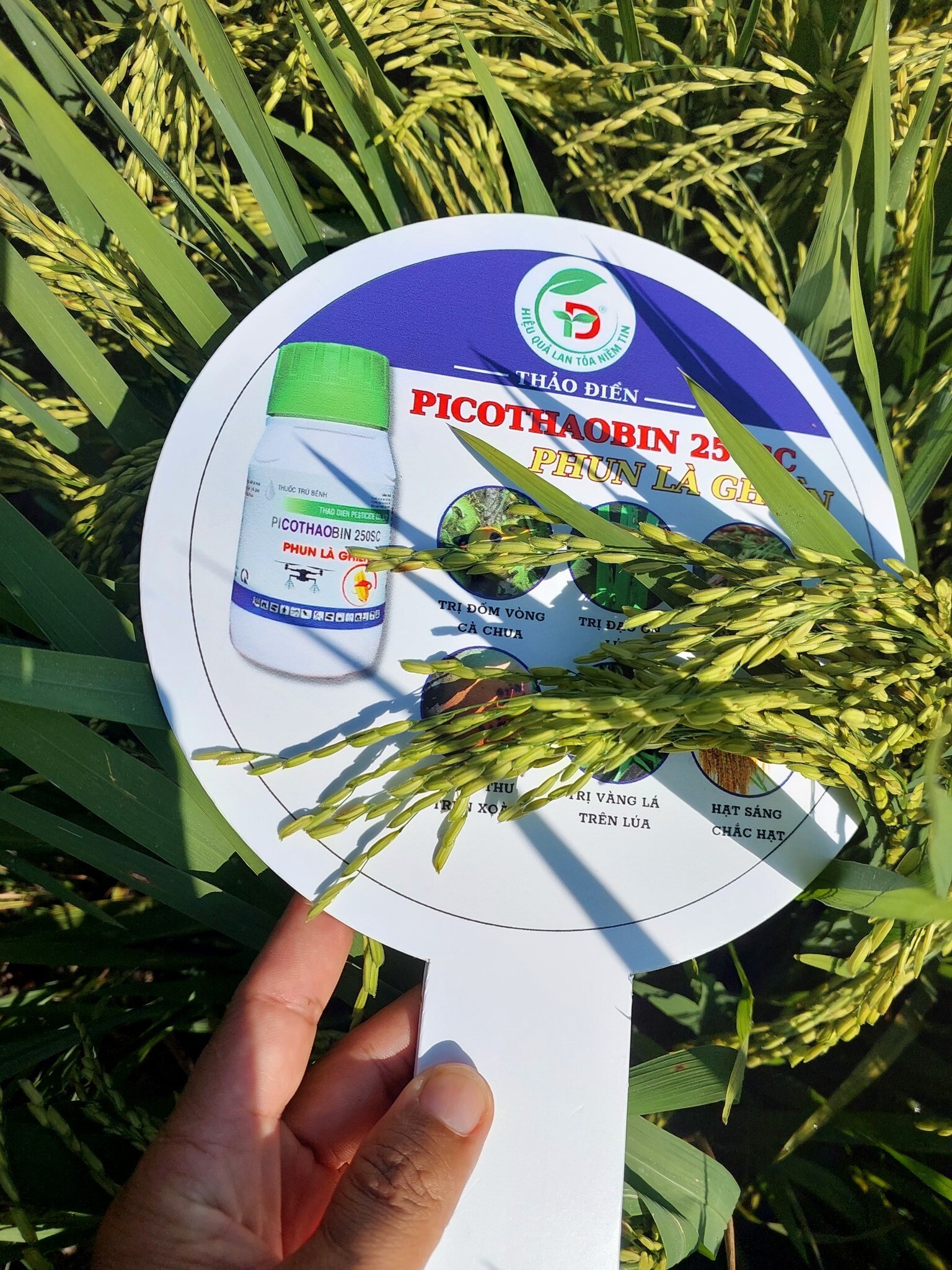 Bảo Vệ Thực Vật Thảo Điền 1