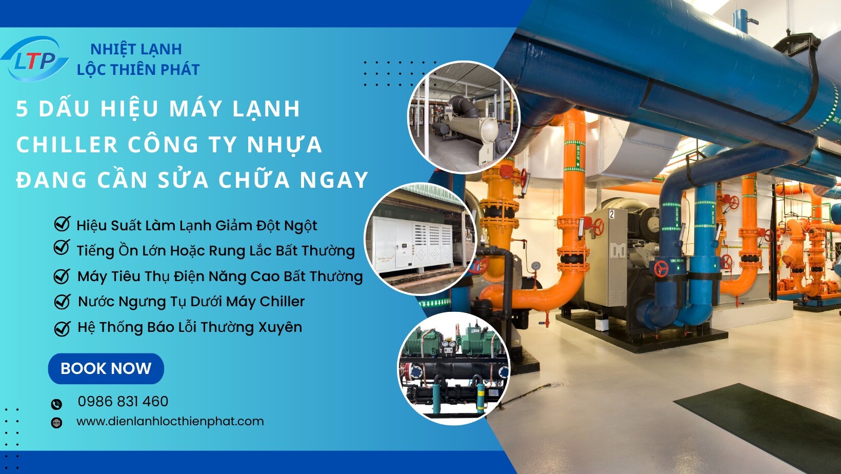 Nhiệt Lạnh Lộc Thiên Phát 6