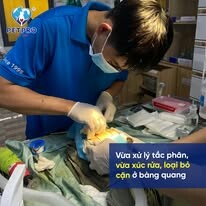 Bệnh Viện Thú Y Pet-Pro 15