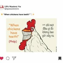 LPA Mastery Việt Nam 11