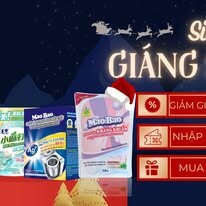 Mao Bảo Việt Nam 13