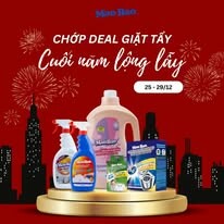 Mao Bảo Việt Nam 14