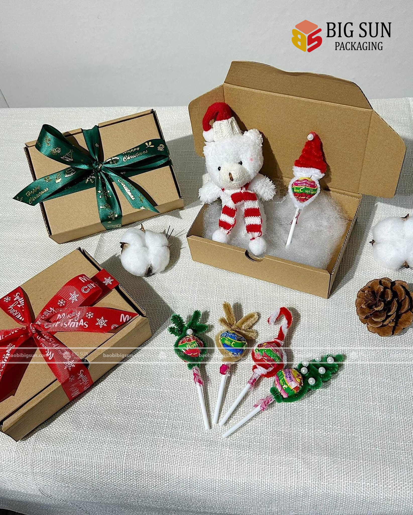 Dịch vụ và Sản xuất Bao bì Big Sun 2