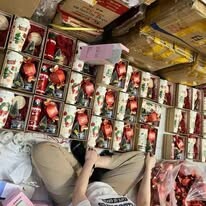 On-Gift Việt Nam 16