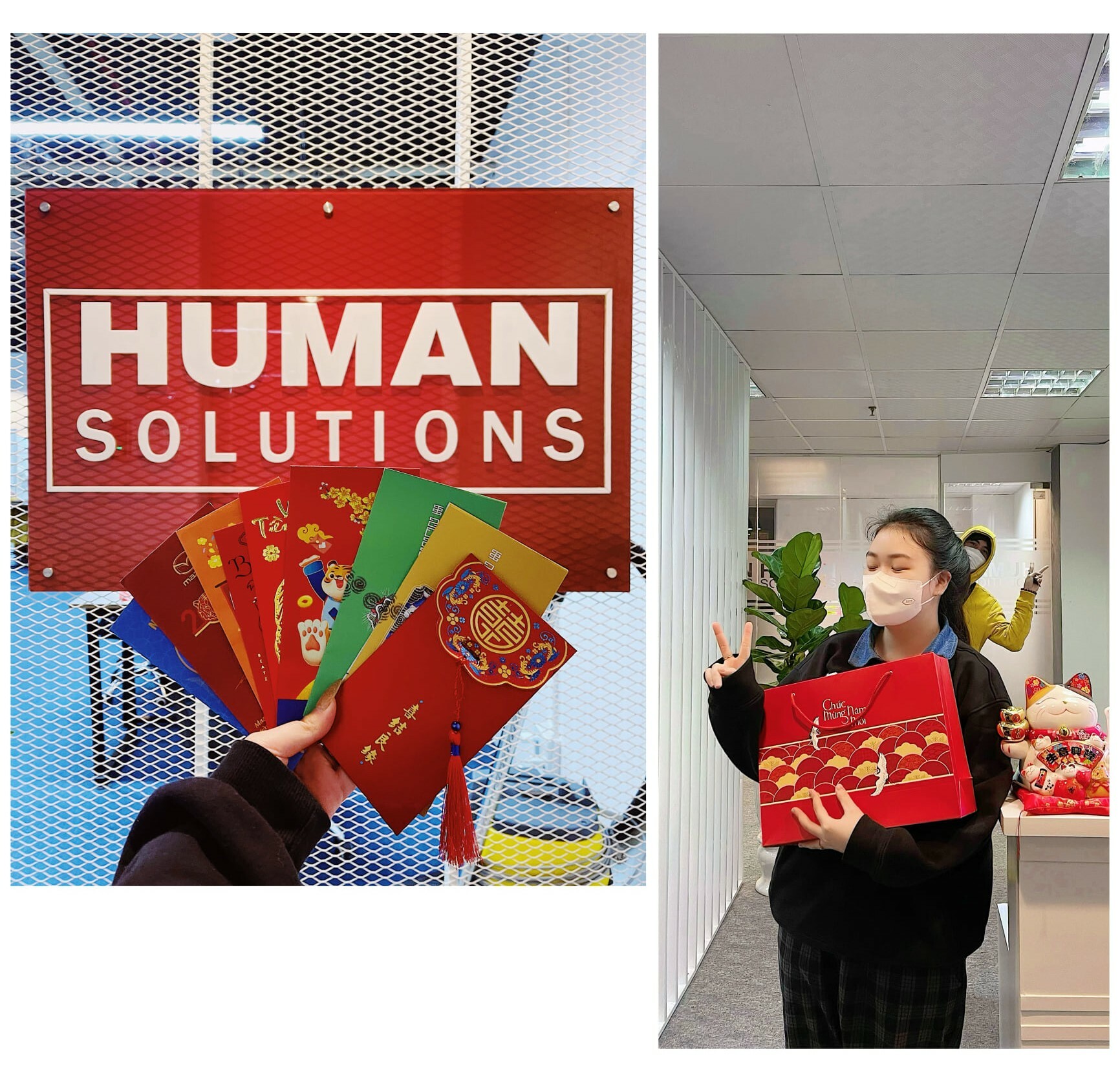 Human Solutions Việt Nam 3
