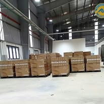 Nhất Phong Vận 12