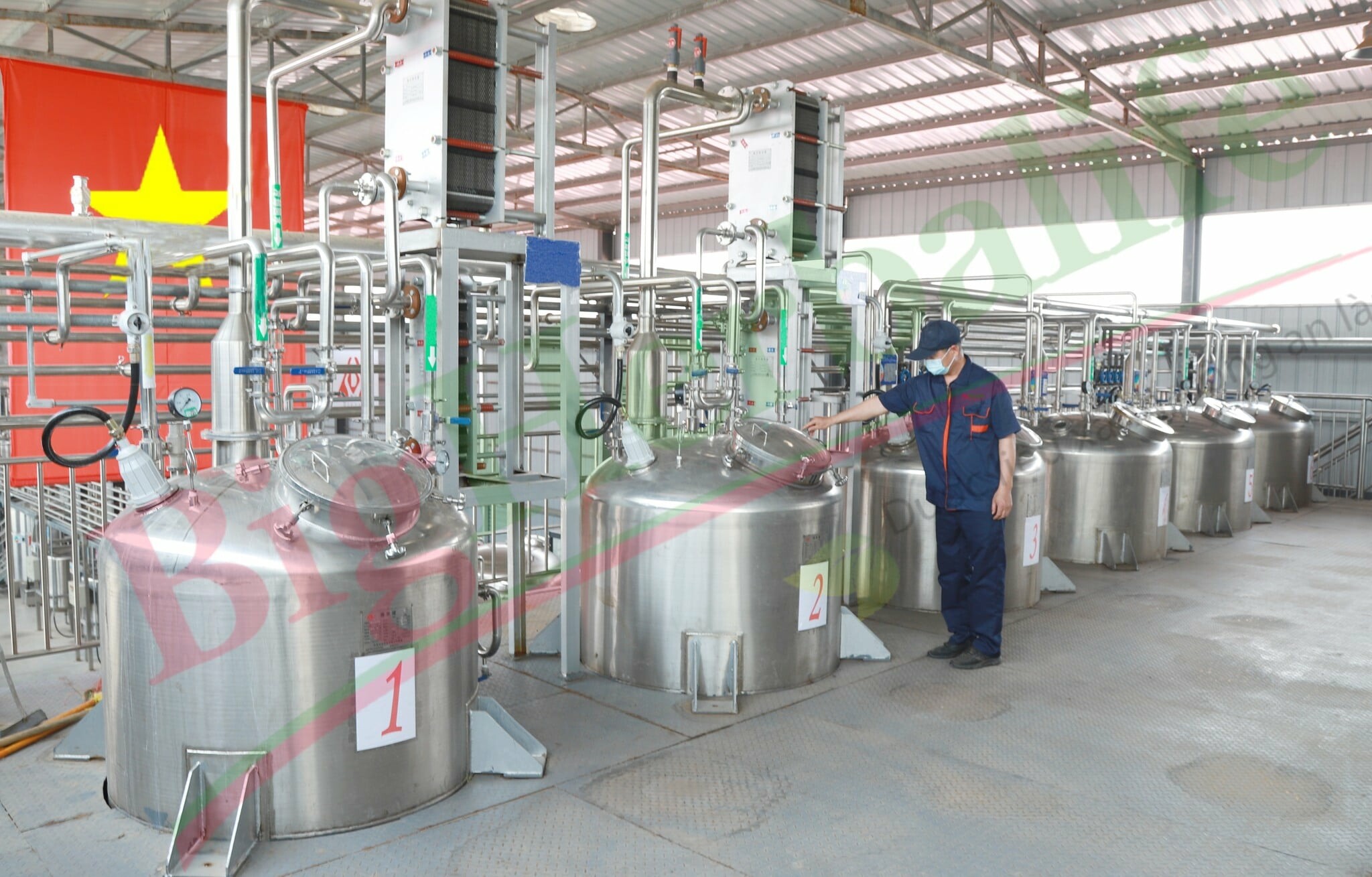 Nguyên Liệu Dược Phẩm Bigherbalife 2