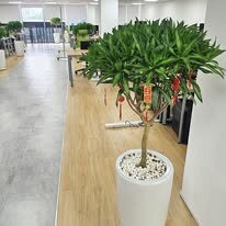 THANKSLAB VIETNAM 14