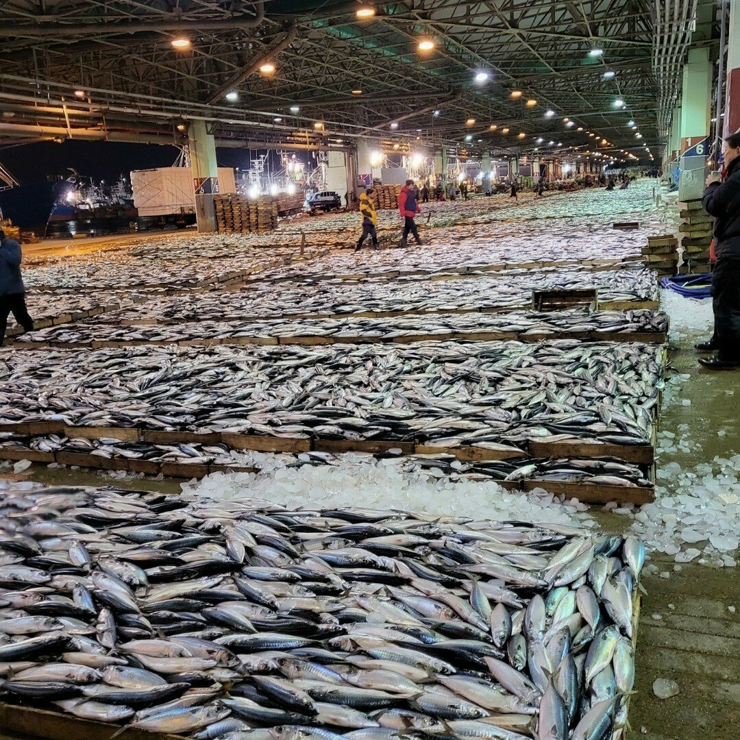 Nhập Khẩu Phát Thịnh Vượng 3