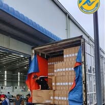 Nhất Phong Vận 11