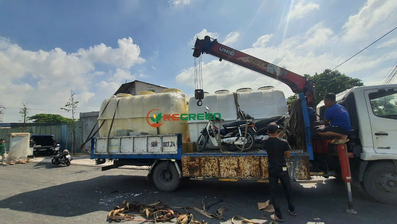 REGREEN VIỆT NAM 1