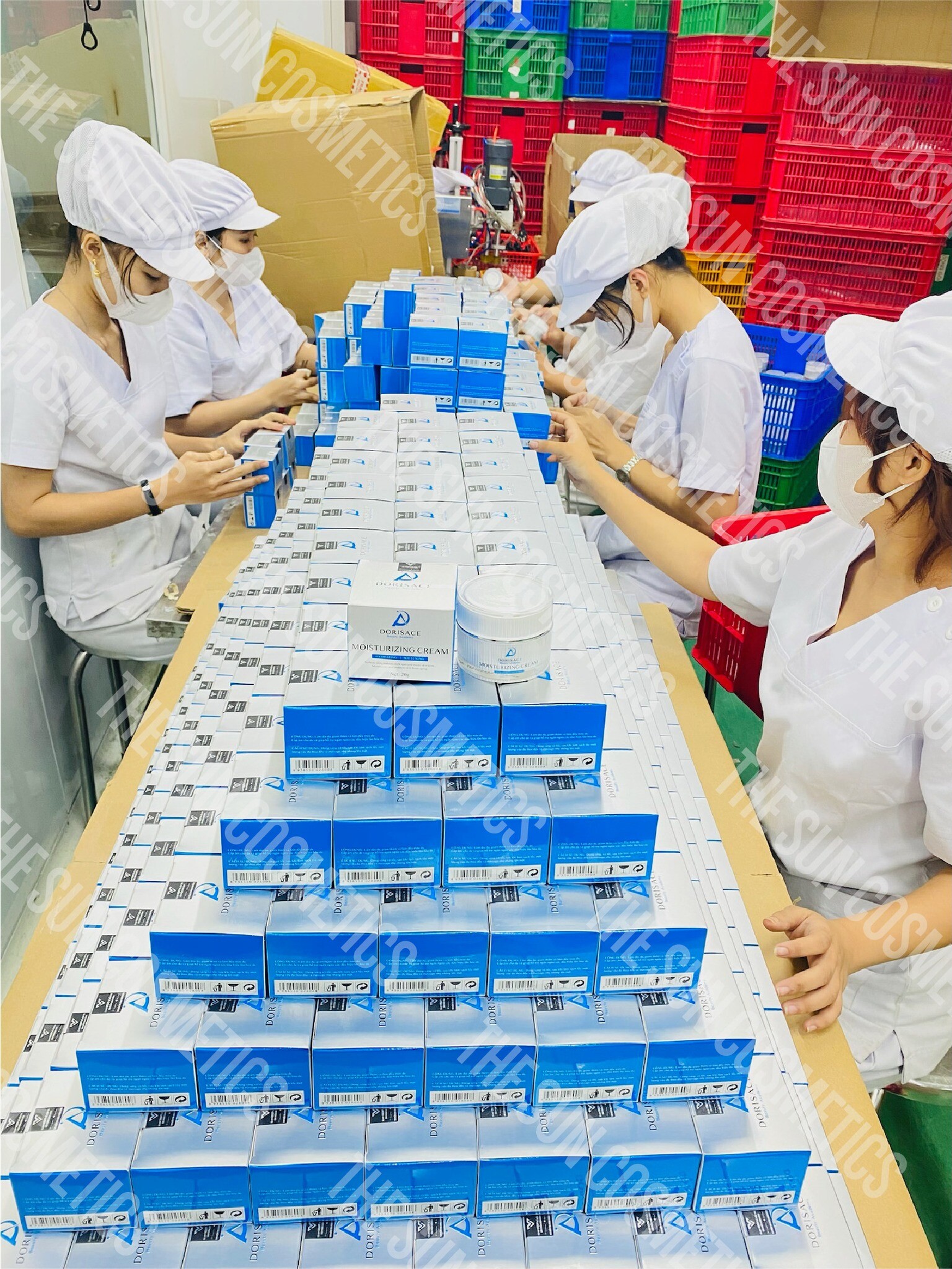 THE SUN COSMETICS 10