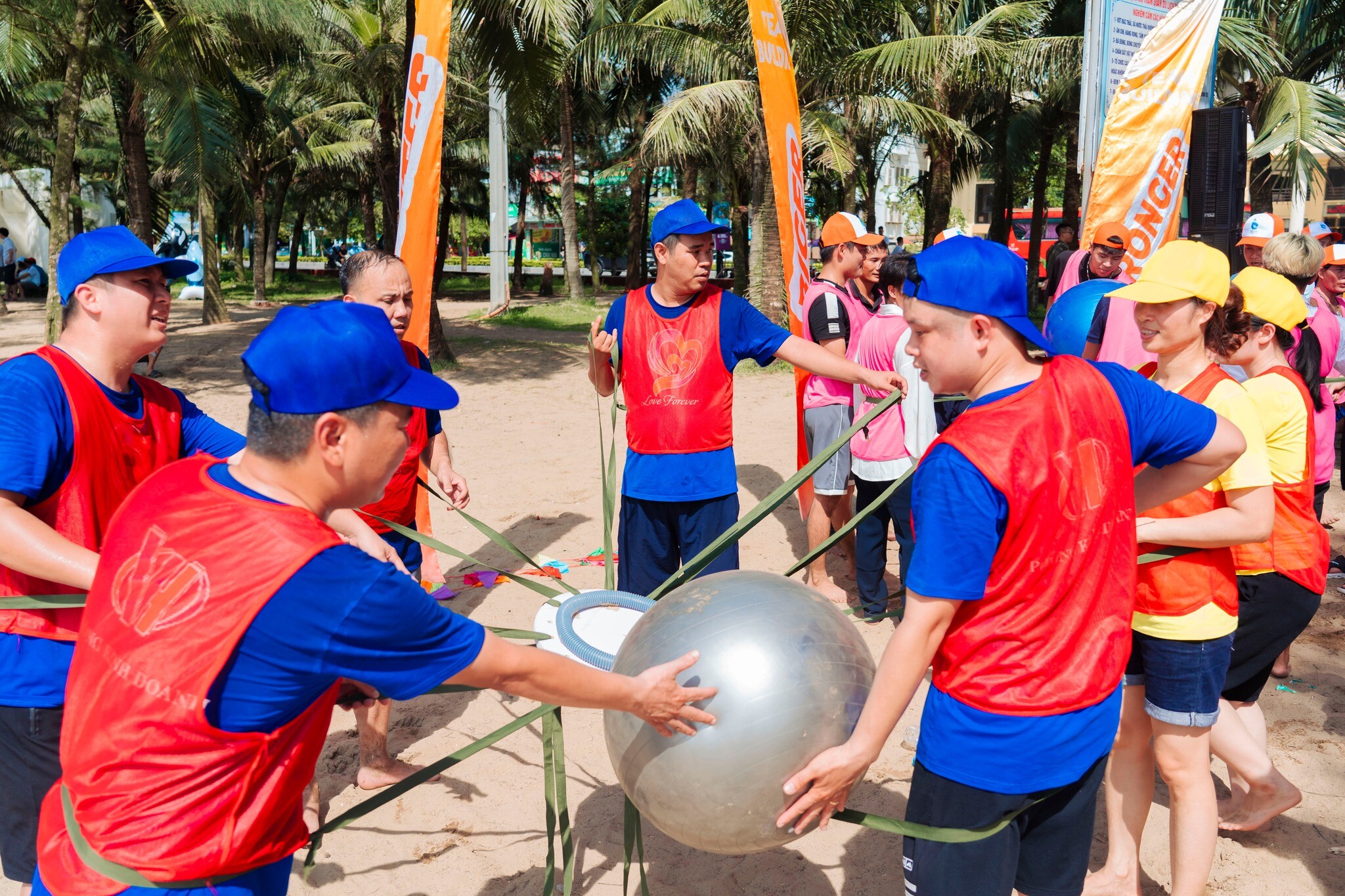 Thương Mại và Sản xuất Đoàn Minh 2