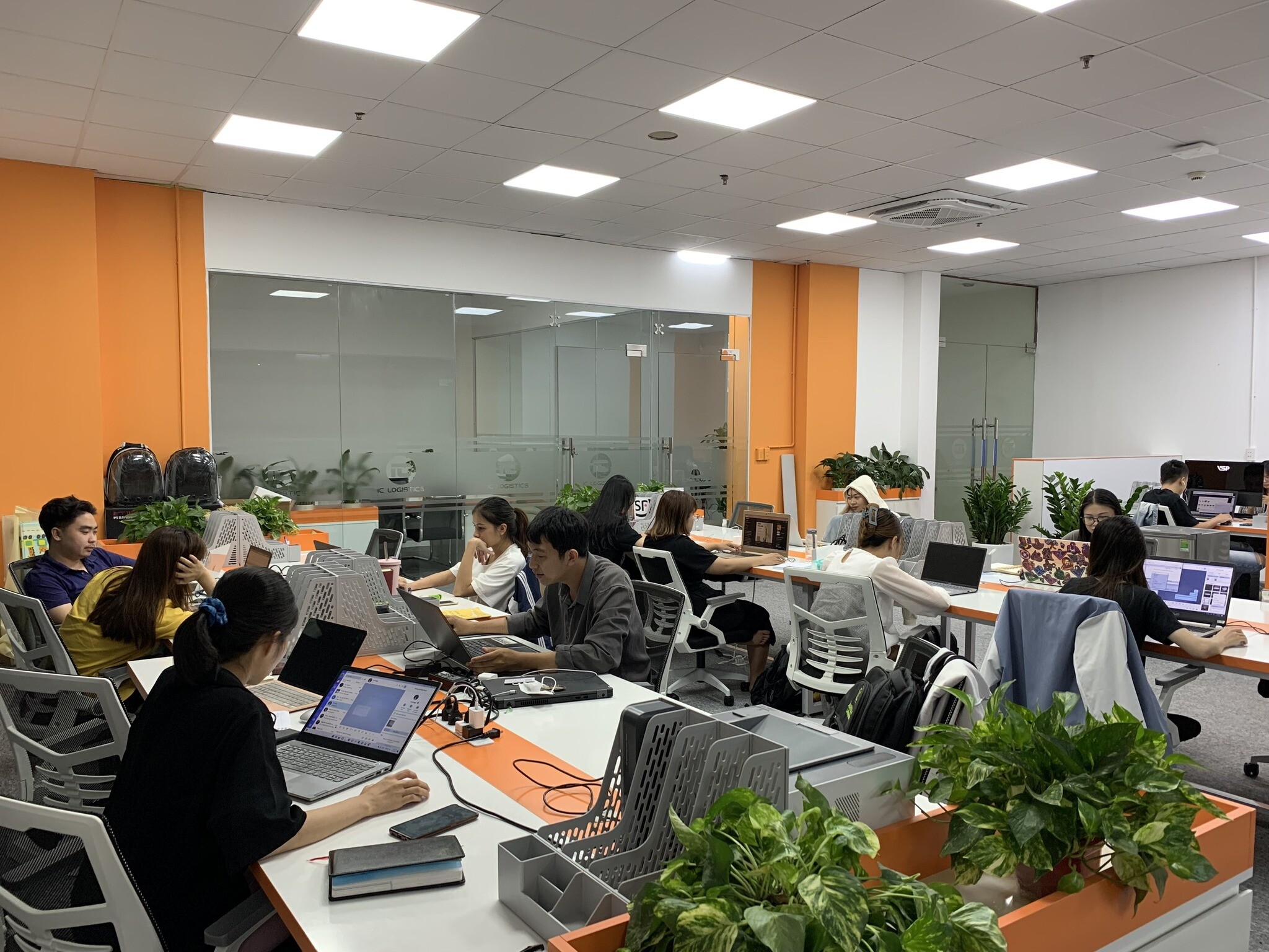 DỊCH VỤ XUẤT NHẬP KHẨU TT59 8