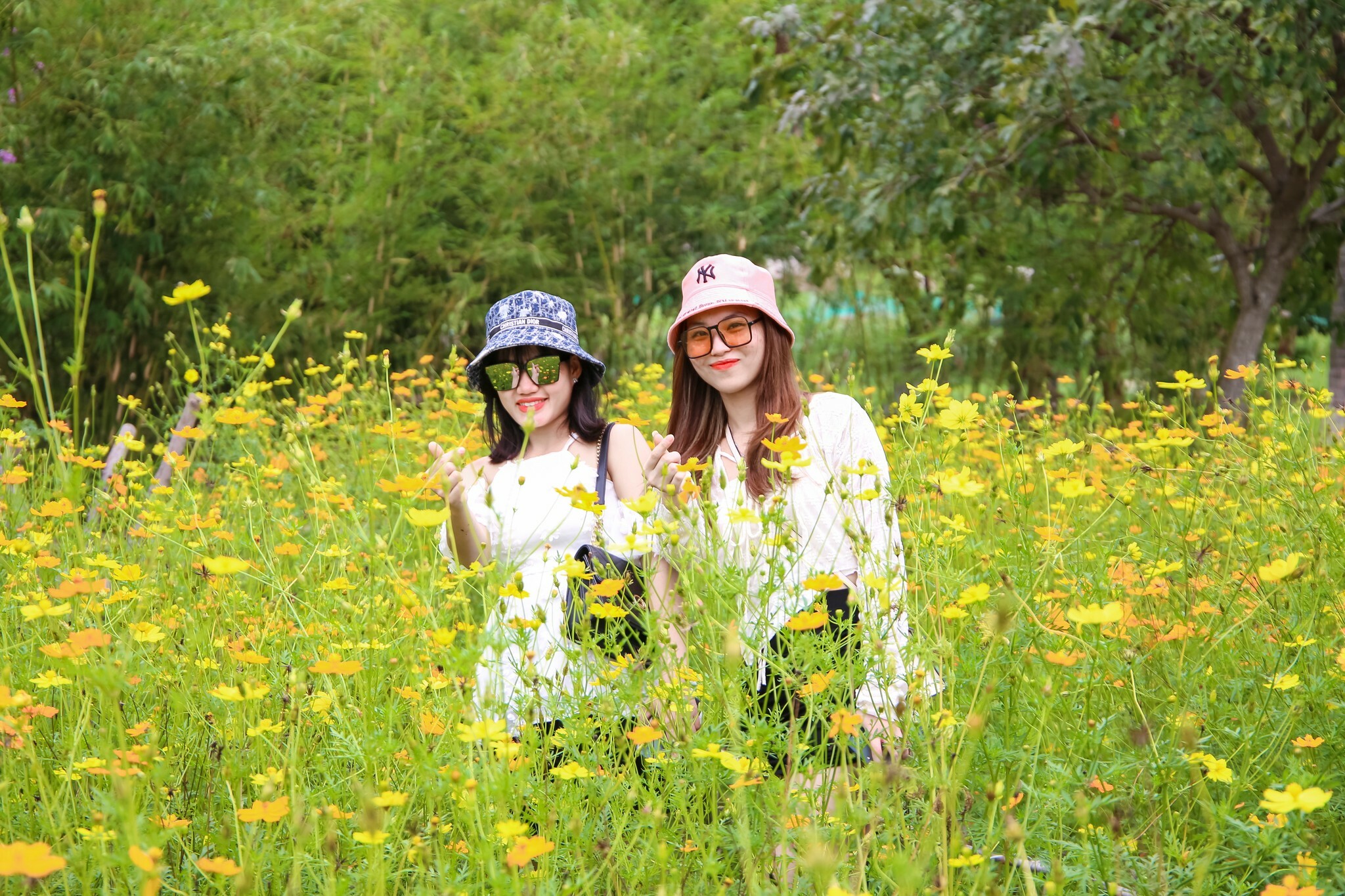 Nhà Hàng Lẩu Đức Trọc 5