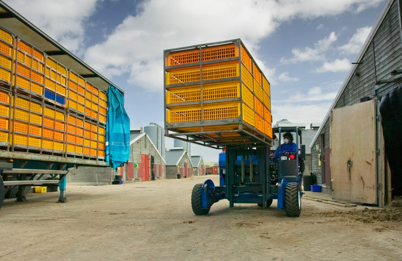 Thương Mại Quốc Tế Tân Đại Tây Dương 8