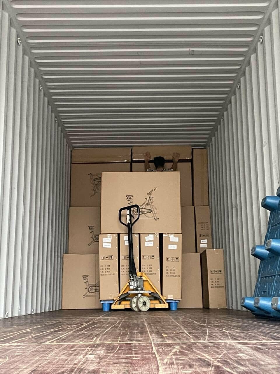 DỊCH VỤ XUẤT NHẬP KHẨU TT59 7