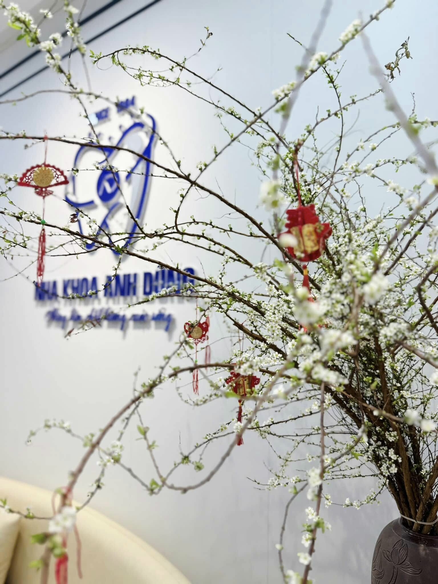 Nha Khoa Anh Dũng Gia Lai 18