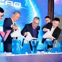 Đầu tư Kỹ thuật Số Việt (VDI) 18