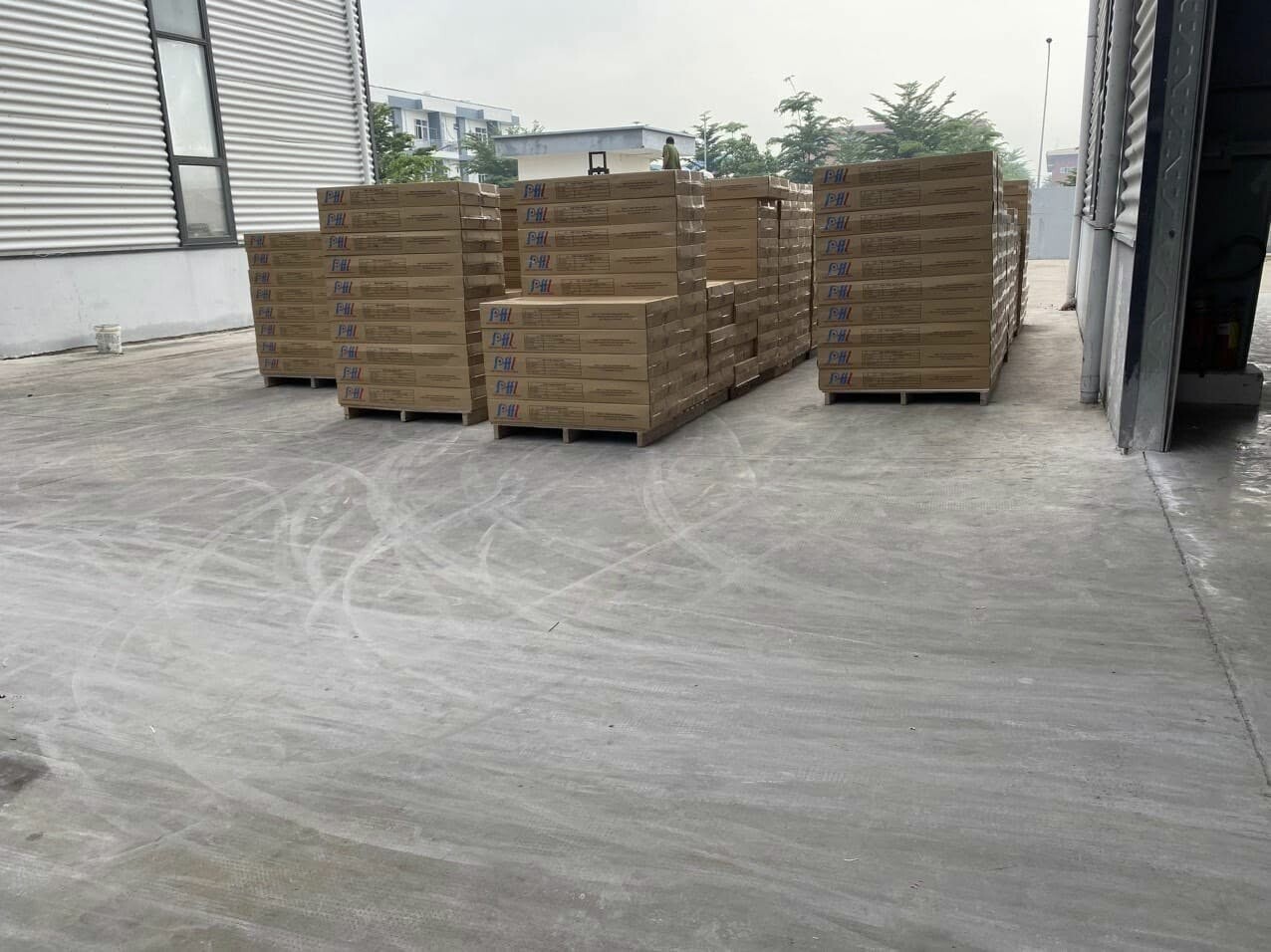 KIM PHONG QUANG MINH VIỆT NAM 4