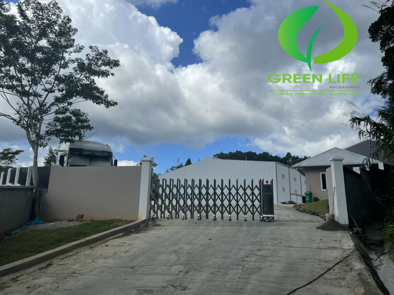 Bao Bì Green Life 6