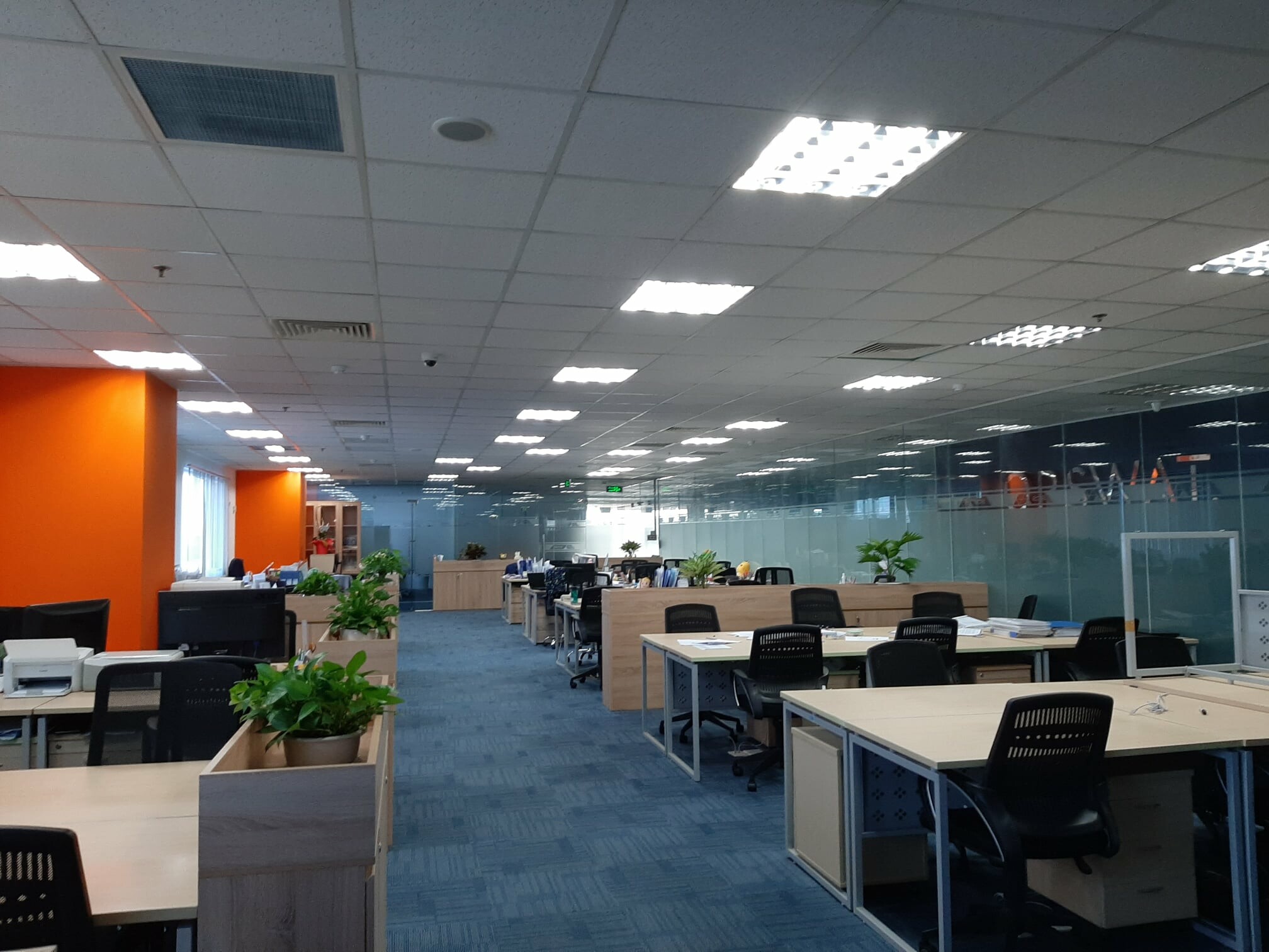 Tư vấn SCS Global Việt Nam 11