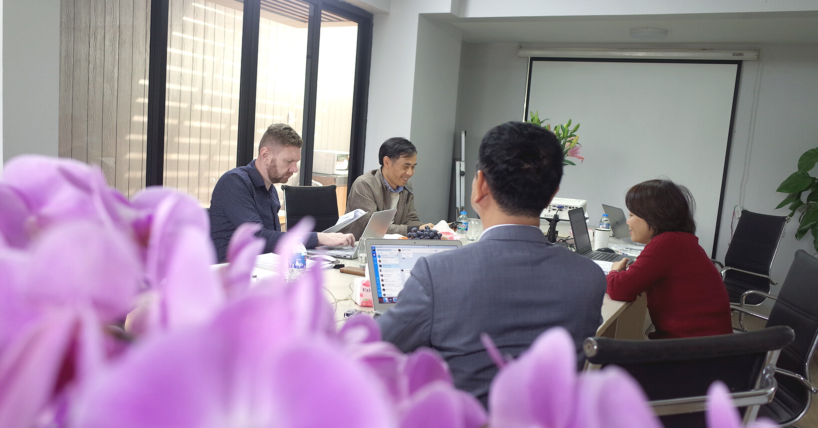 Chứng nhận và Giám định IQC 11