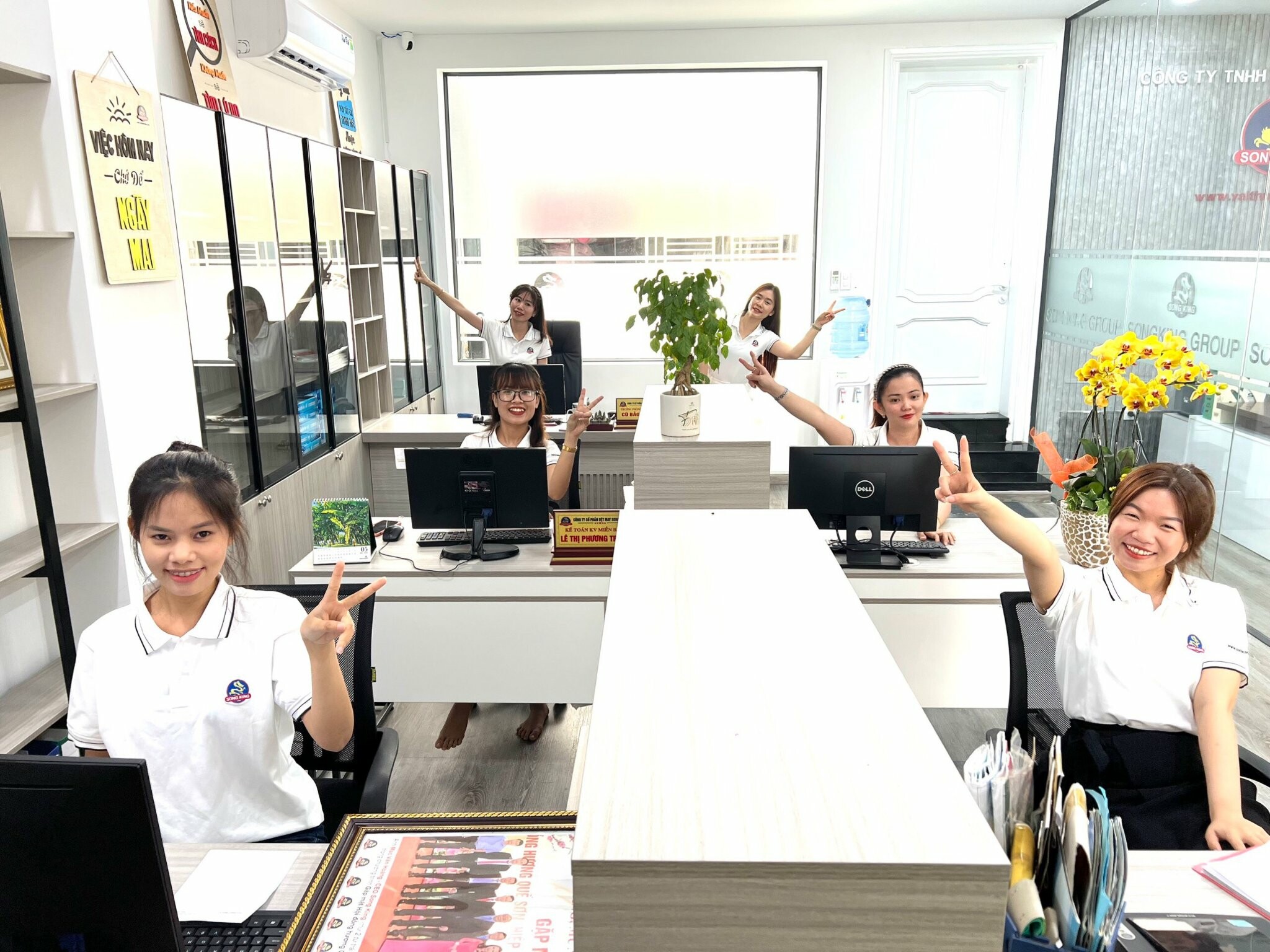 Sản xuất Thương mại Song King 1