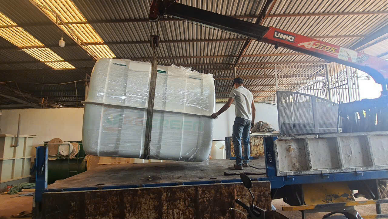 REGREEN VIỆT NAM 2