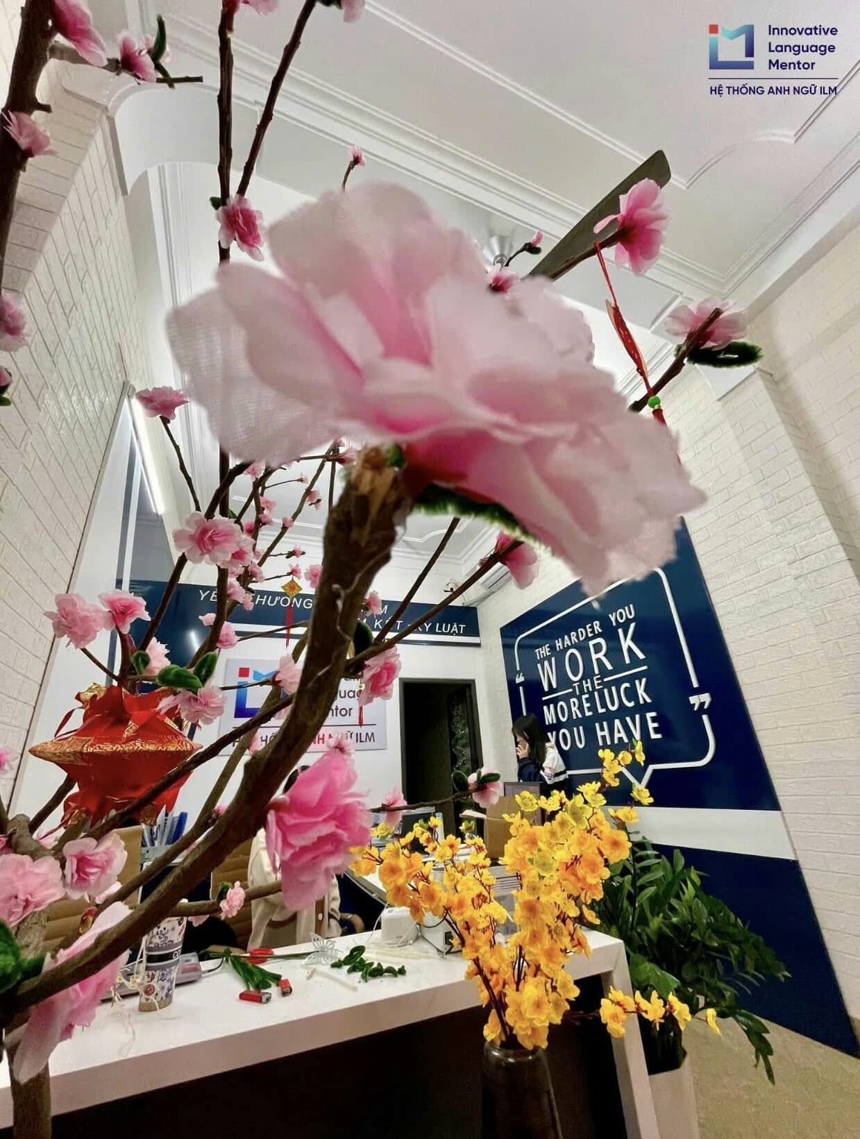 TƯ VẤN GIÁO DỤC ILM 8