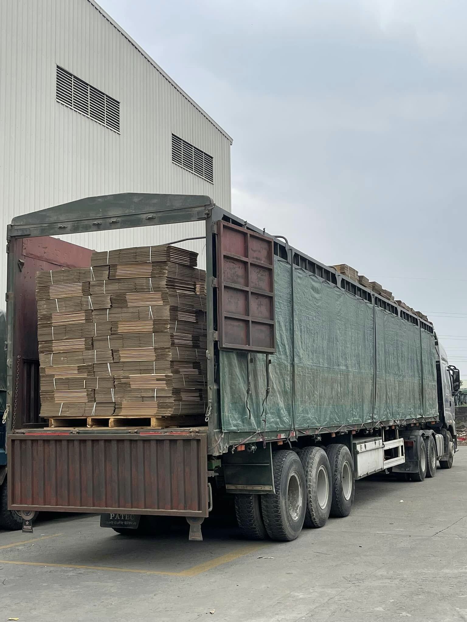 Bao Bì Tân Thành Đạt 12