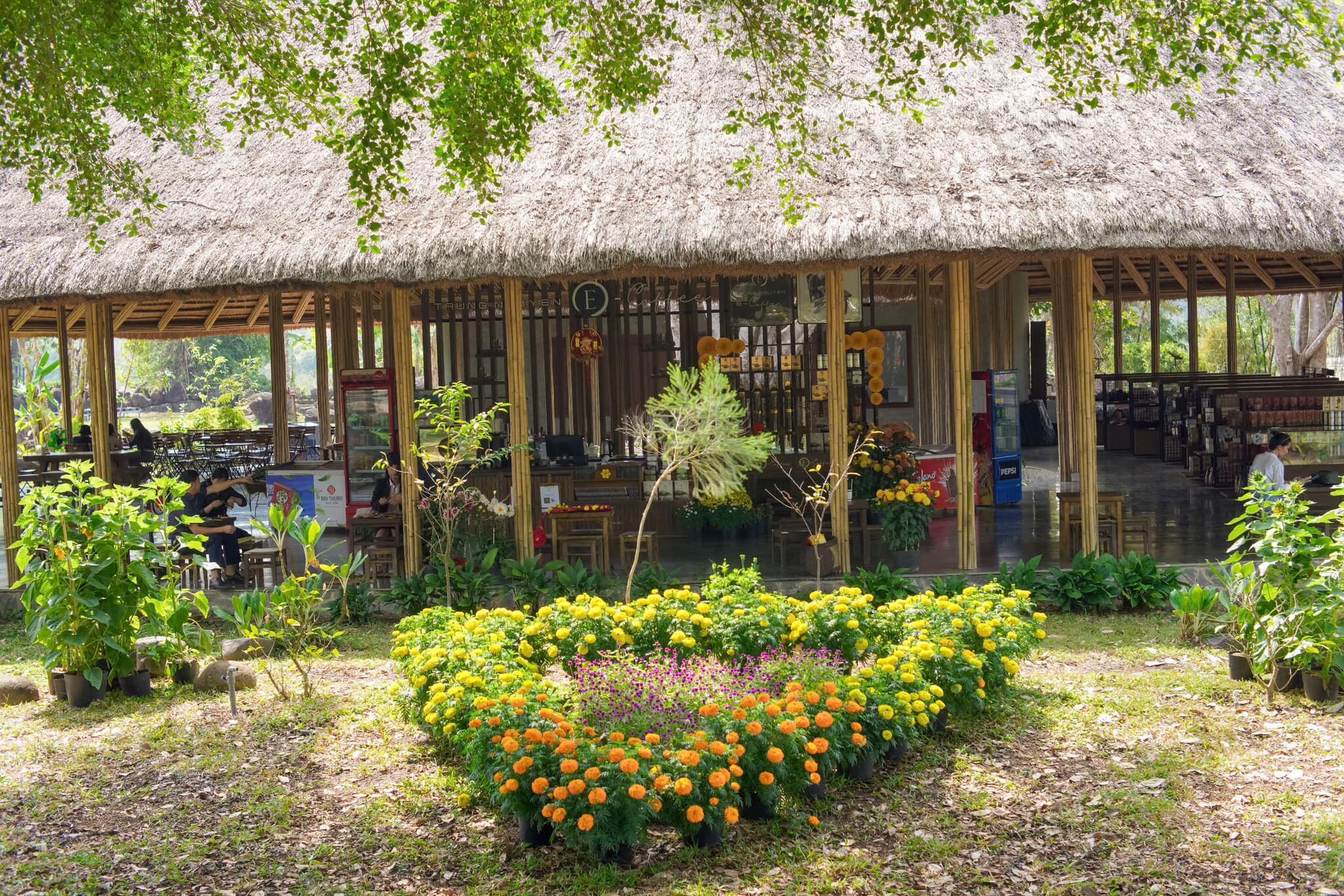 Đầu Tư Du Lịch Trung Nguyên Healing 4