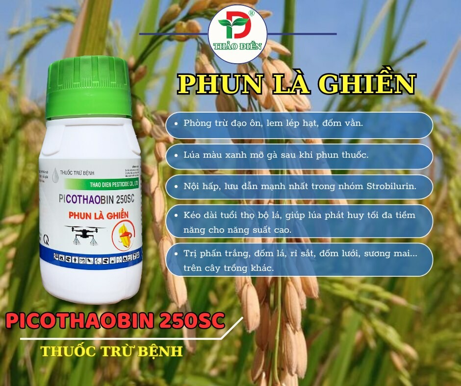 Bảo Vệ Thực Vật Thảo Điền 6