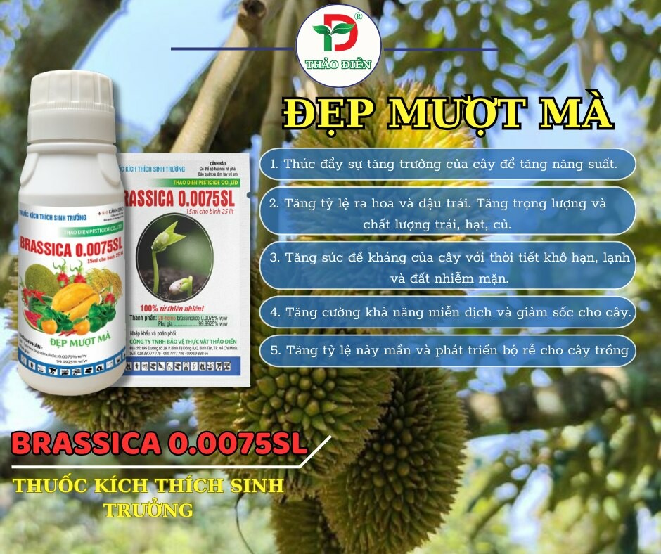 Bảo Vệ Thực Vật Thảo Điền 8