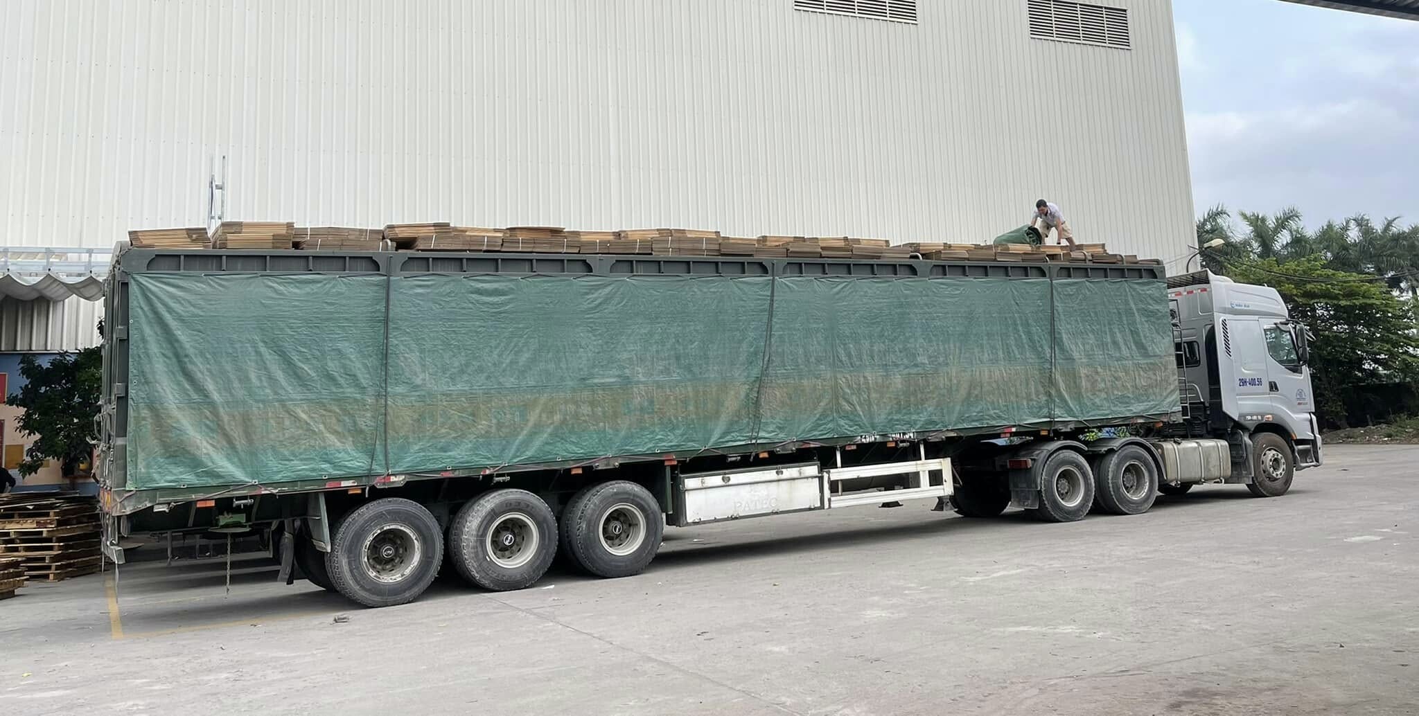 Bao Bì Tân Thành Đạt 5