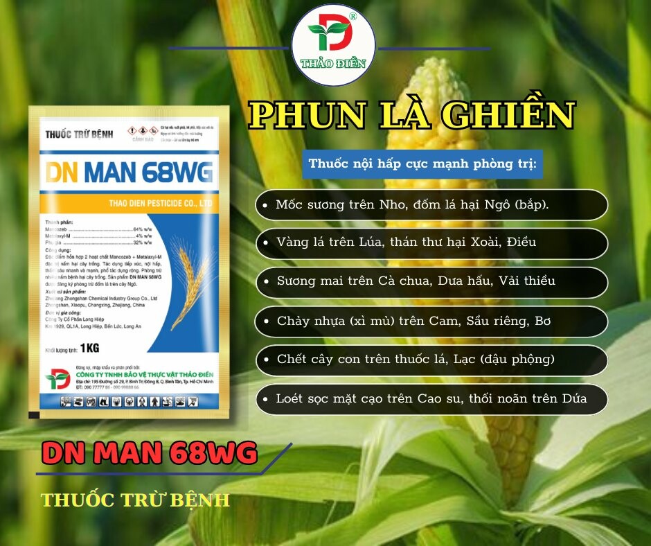 Bảo Vệ Thực Vật Thảo Điền 9