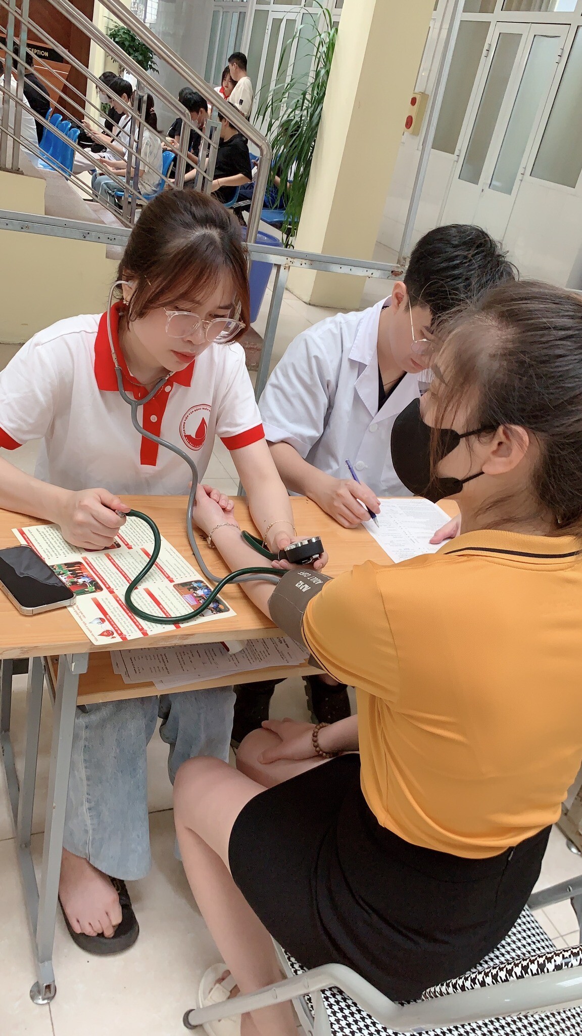 Tadashi Việt Nam 7