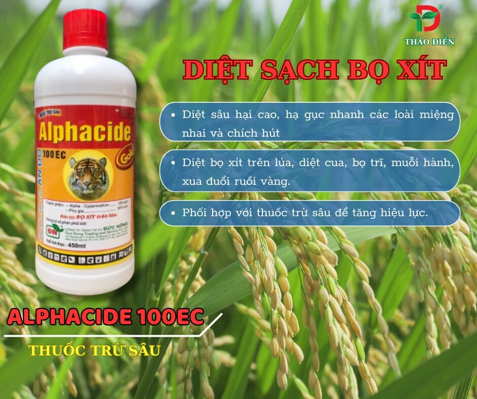 Bảo Vệ Thực Vật Thảo Điền 4