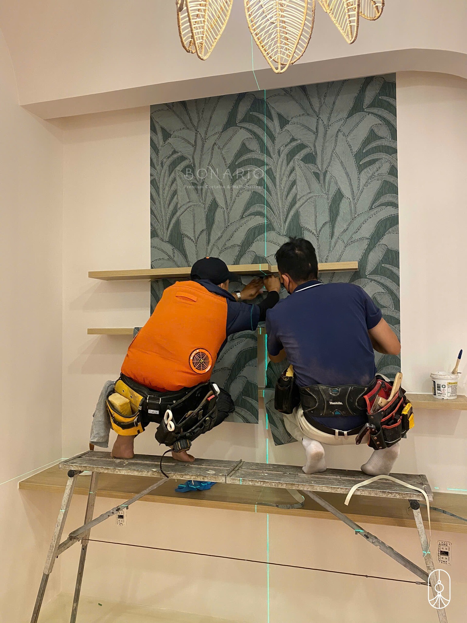 Bonario Việt Nam 2