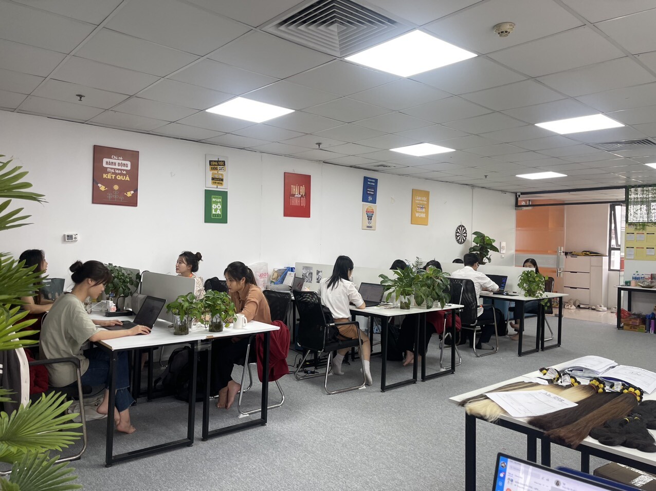 XUẤT NHẬP KHẨU E-HAIR VIETNAM 11