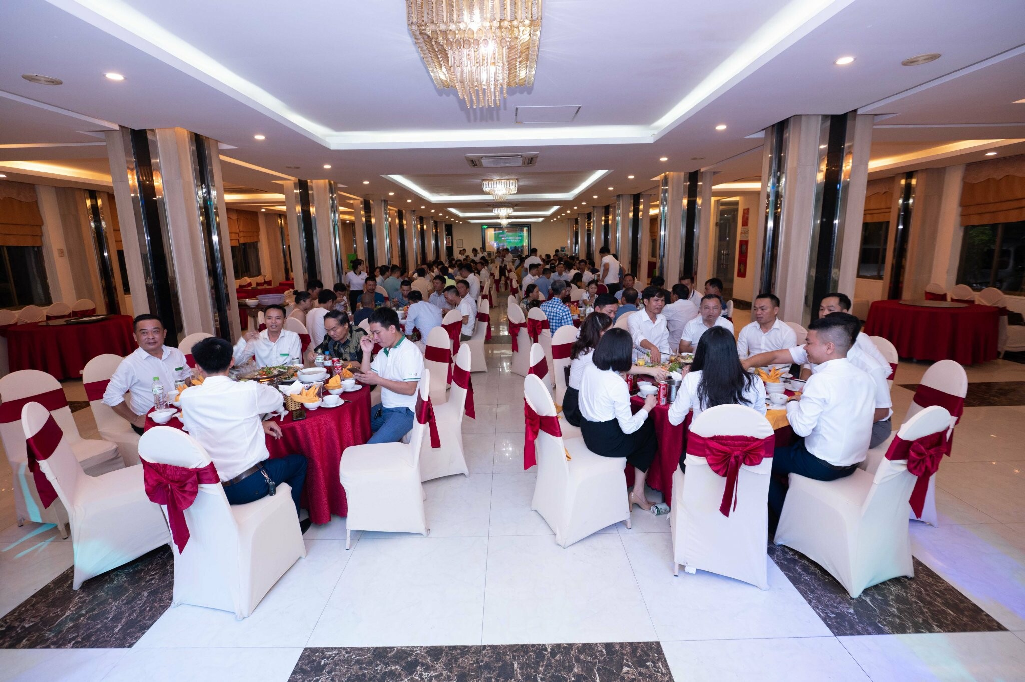 XUẤT NHẬP KHẨU GREEN HOME 8