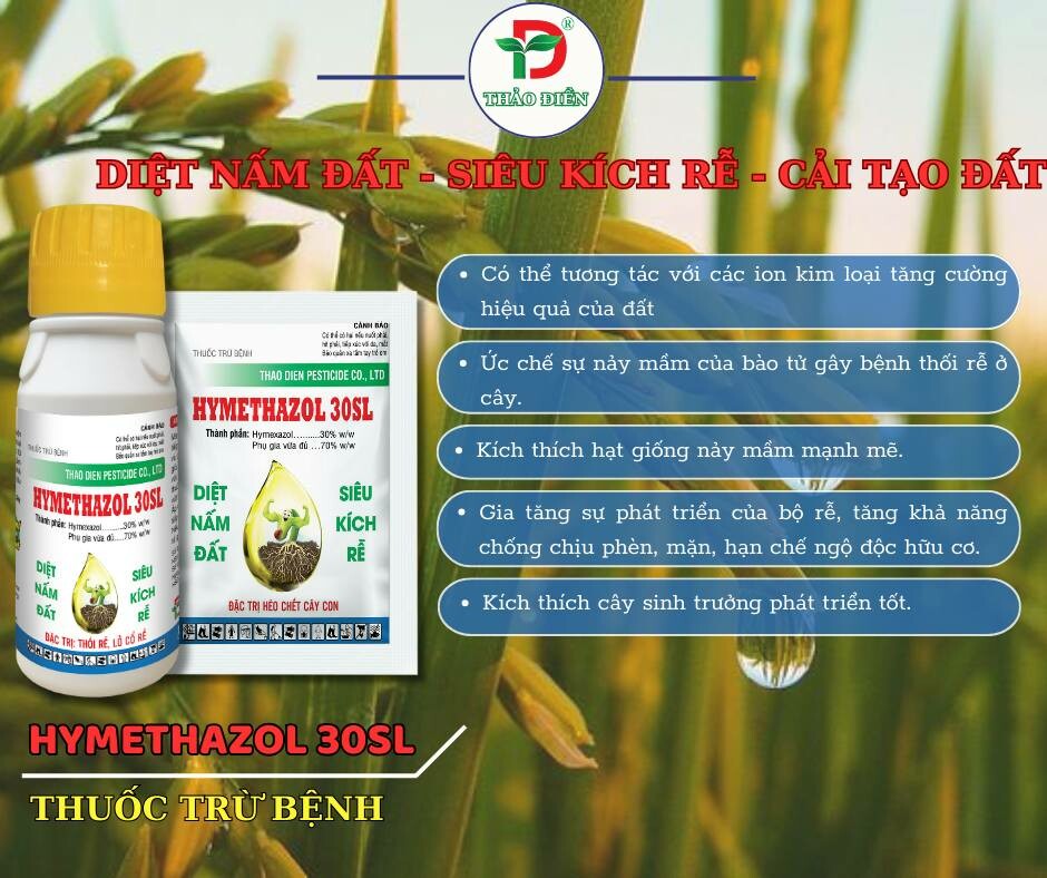 Bảo Vệ Thực Vật Thảo Điền 12