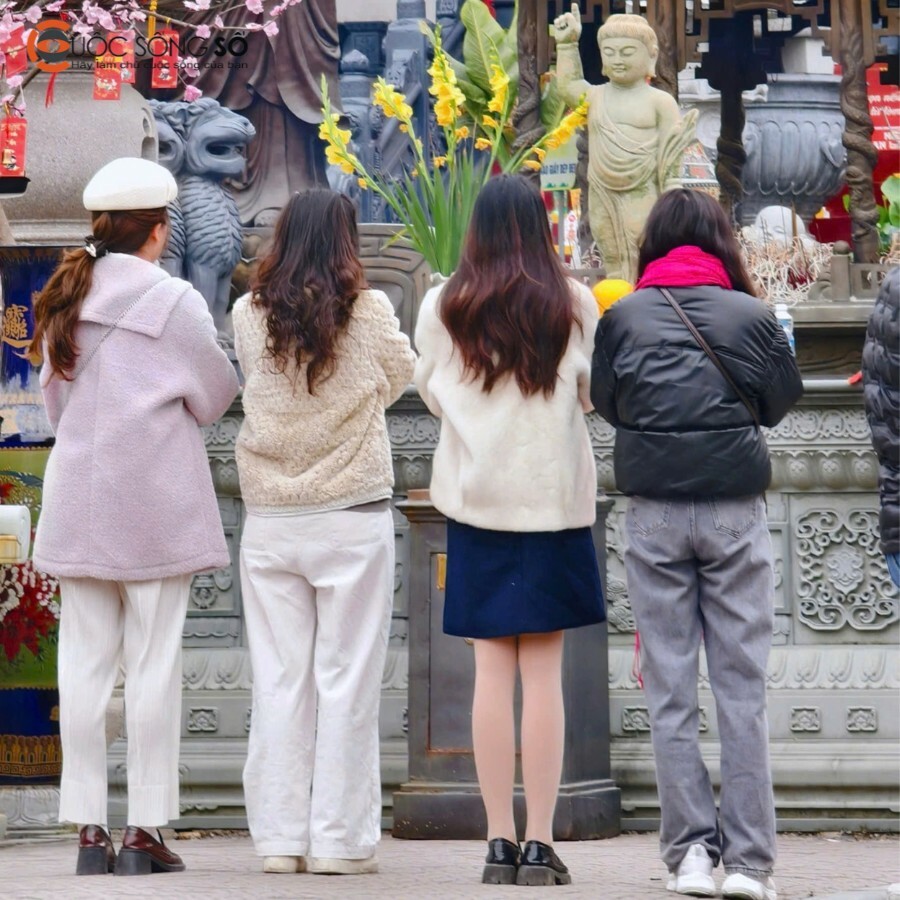 Cuộc Sống Số 6