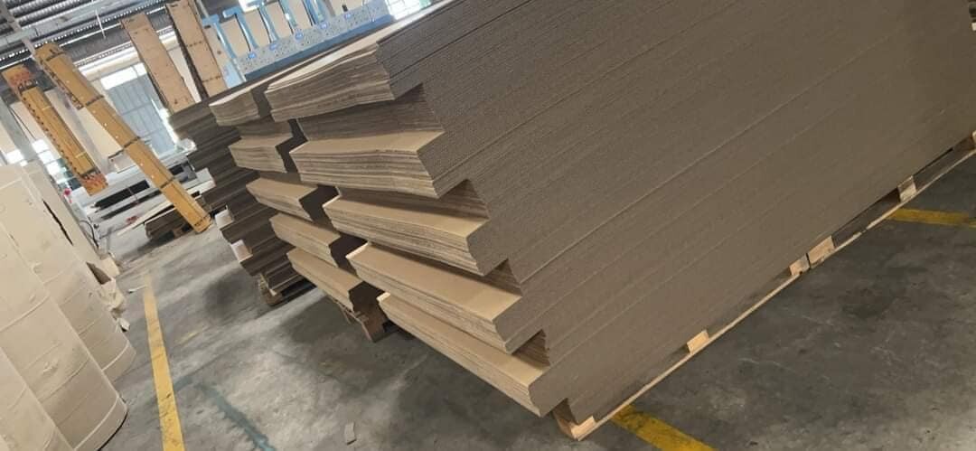 Bao Bì Tân Thành Đạt 9